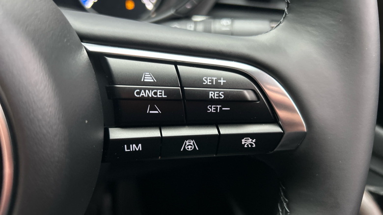 Mazda CX-30 2.5 e-Skyactiv G MHEV [140] Takumi 5dr Petrol Hatchback